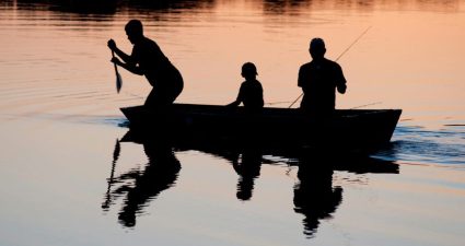 Predicting the Weight of Fish Using Multiple Linear Regression Part 2/3