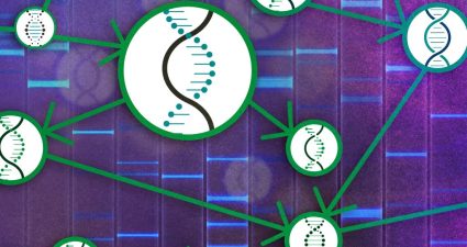 A causal theory for studying the cause-and-effect relationships of genes