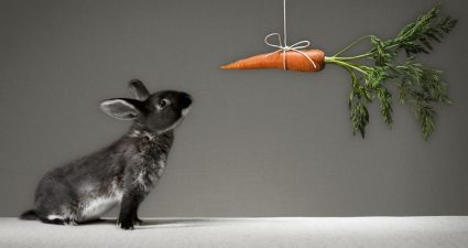 Aprendizaje por Refuerzo: Diseño de Recompensas | Samuel Kinstlinger