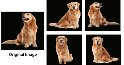 Automatización de la Aumentación de Datos: Una Guía para Principiantes para Mejorar Modelos de Aprendizaje Automático