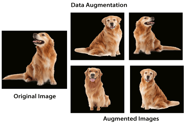 1_tfkijktdmsznmdwseyd0a.png